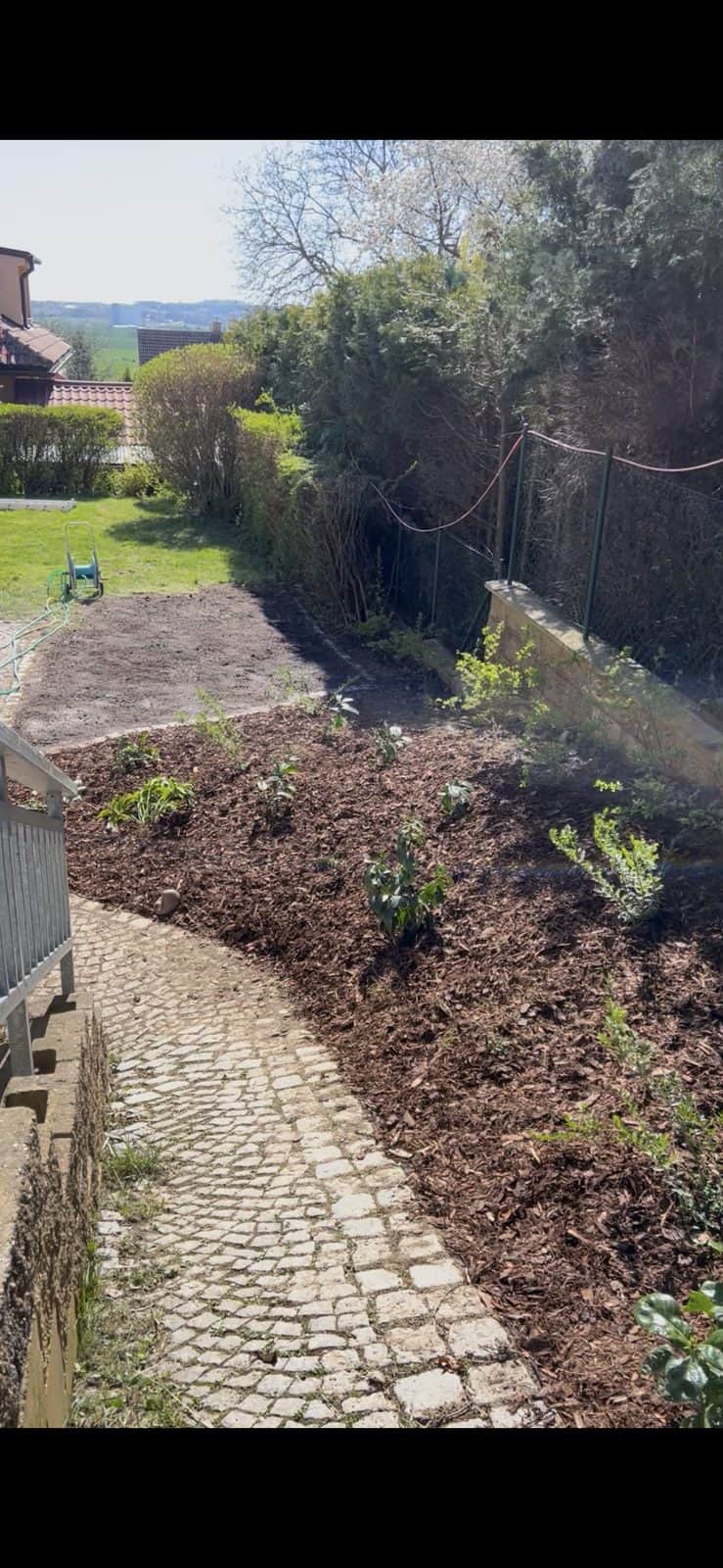 Uklizená dlážděná cesta s namulčovaným záhonem