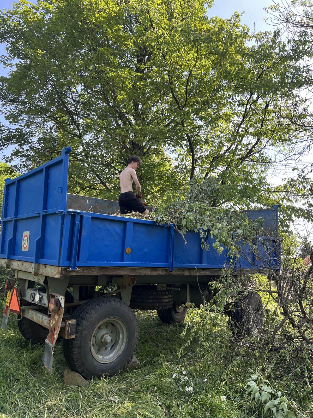 Člověk nakládá větve do modrého vleku