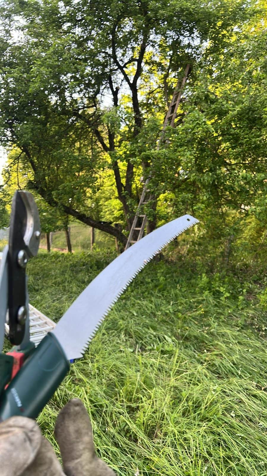 Zahradnické nůžky a pilka v ruce nad vysokou trávou