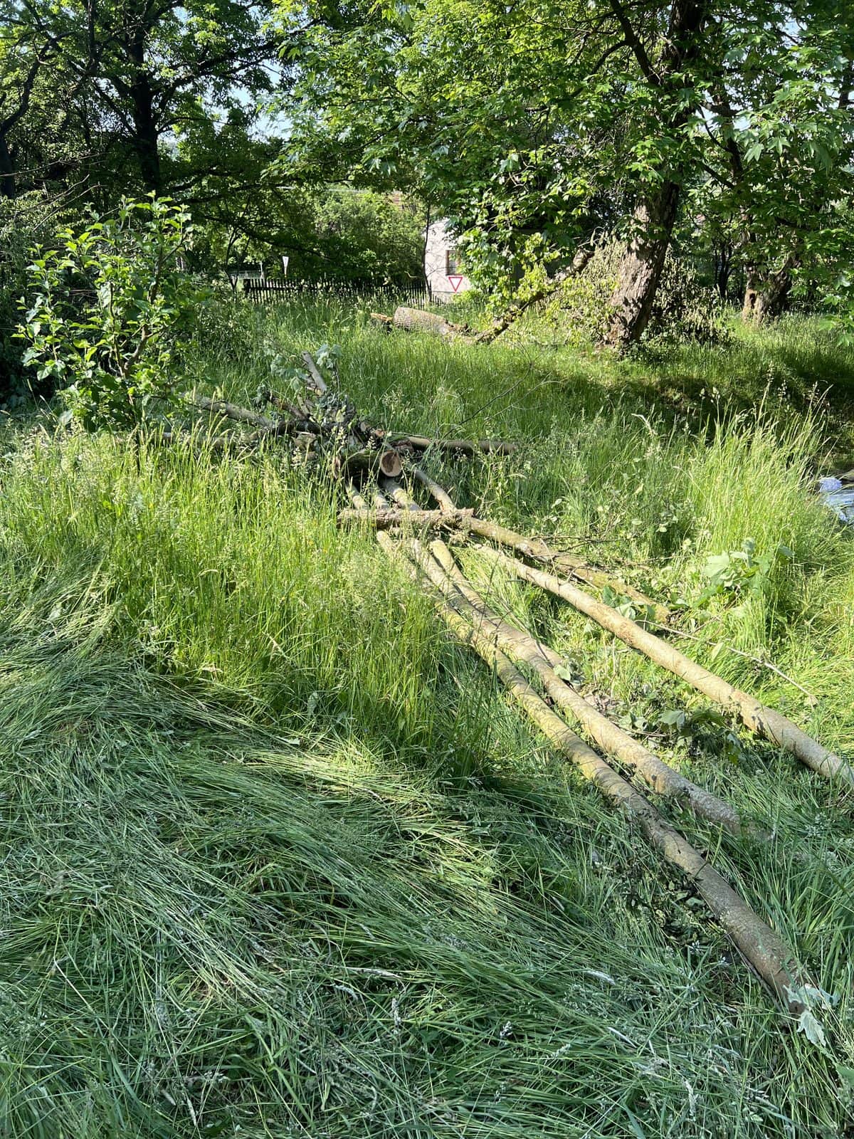 Pokácené kmeny a tyče ležící ve vysoké trávě